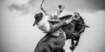 Gaucho (MartinSeb/Adobe)