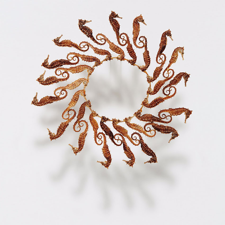 Maria Fernanda Cardoso "Seahorse Circle" 2003 at the Phillips Latin American Art Auction of May 2017