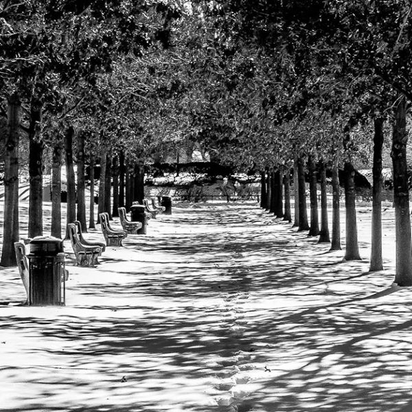 Things to do in NYC in February 2019