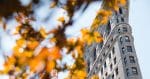 Latin things to do in New York in October 2019
