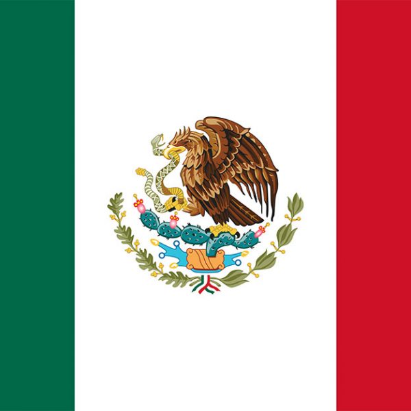 Mexico flag