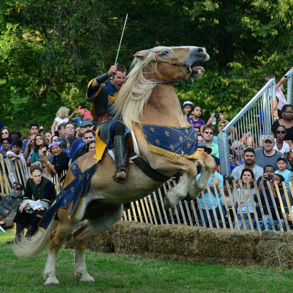 Medieval Festival 2019 in Fort Tryon Park