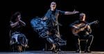 Soledad Barrio & Noche Flamenca in 'Entre tú y yo' (Courtesy the artist)