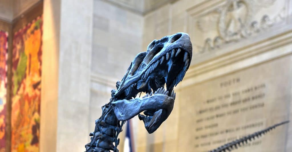 American Museum of Natural History (Demerzel21/Dreamstime)