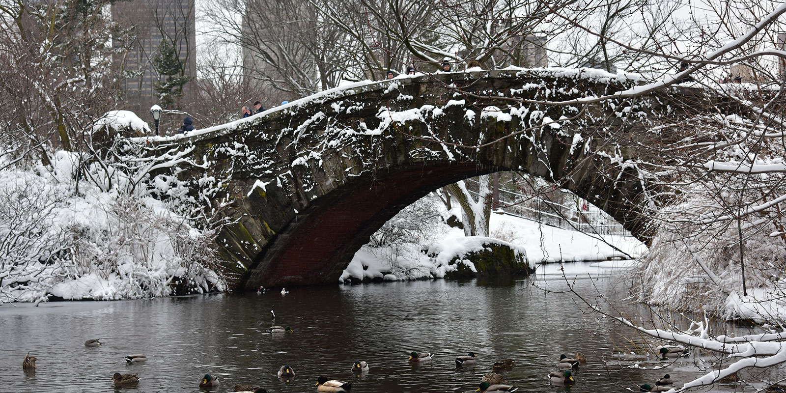 Winter in New York City at Gapstow Bridge in Central Park (Eric Pasquali/Dreamstime)