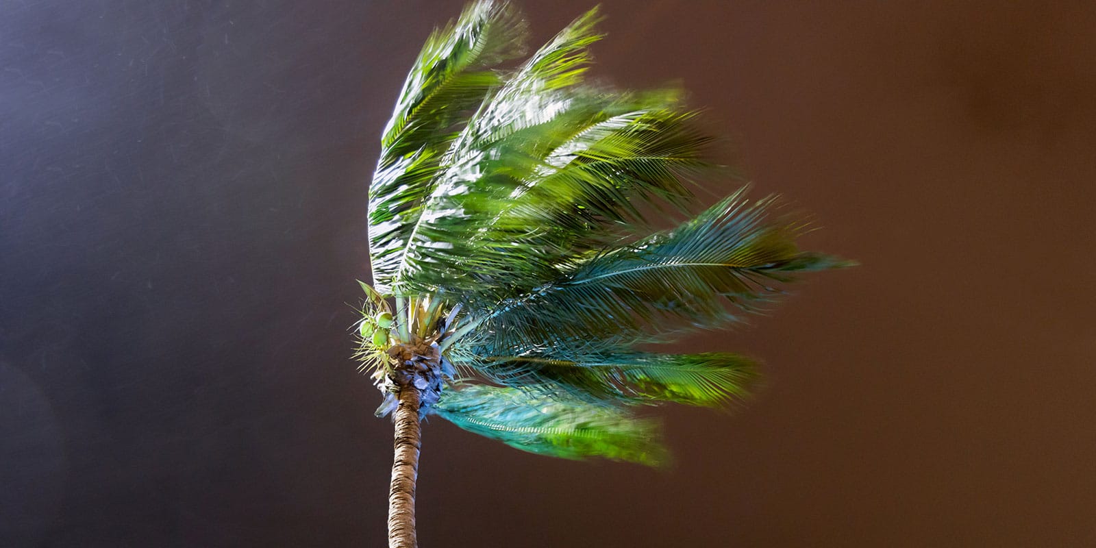 Hurricane winds (Anan Sudsaithong/Dreamstime)
