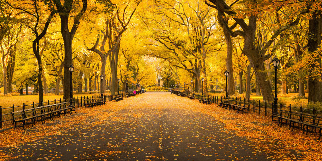 Things to do in NYC in October 2020 Central Park Promenade (Eyetronic/Adobe)