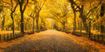 Things to do in NYC in October 2020 Central Park Promenade (Eyetronic/Adobe)