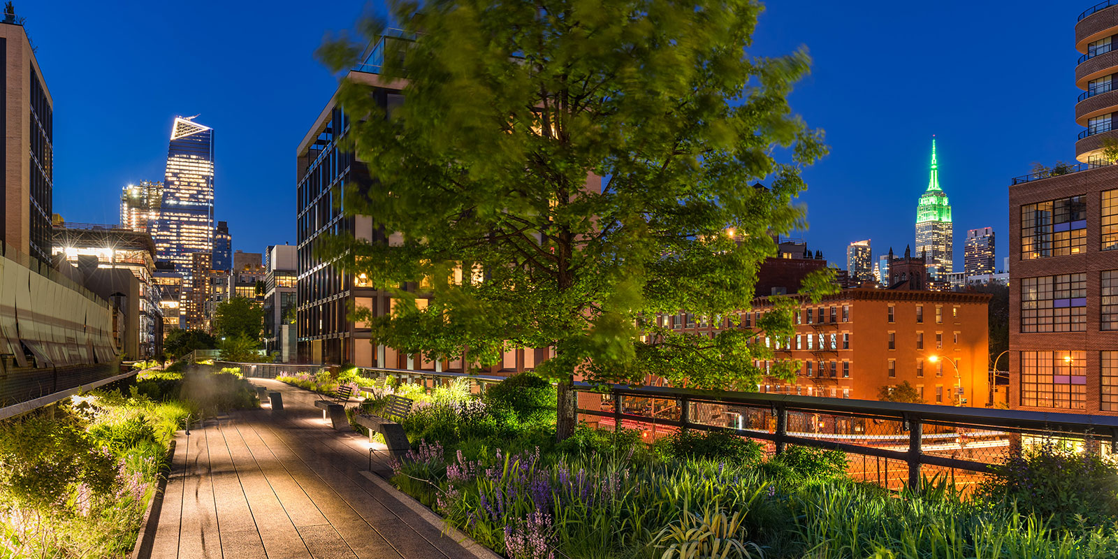 Things to do in NYC in August 2020