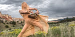 The 2020 Battery Dance Festival seeds the global future of dance (Dancing Earth Indigenous Contemporary Dance Creations/BDF)