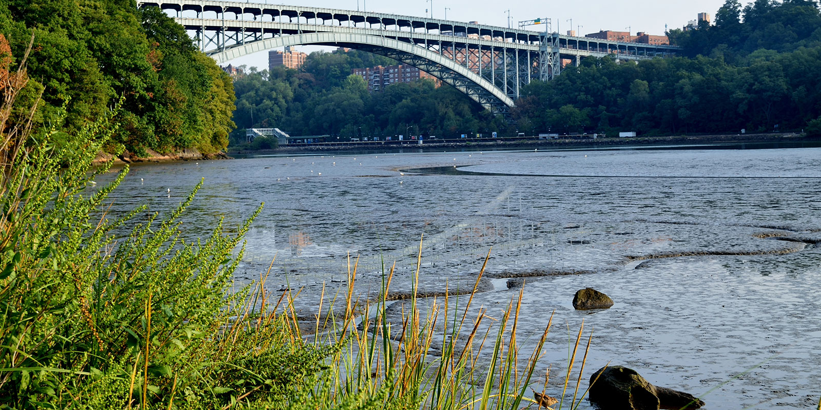 Upper Manhattan. The Henry Hudson Bridge over Spuyten Duyvil Creek from Inwood Hill Park (Christopher Myers/Dreamstime)