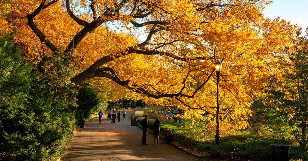 Fort Tryon Park NYC (Byelikova/Dreamstime)