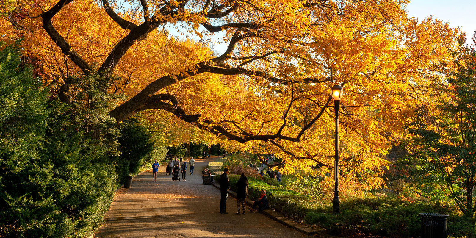 Fort Tryon Park NYC (Byelikova/Dreamstime)