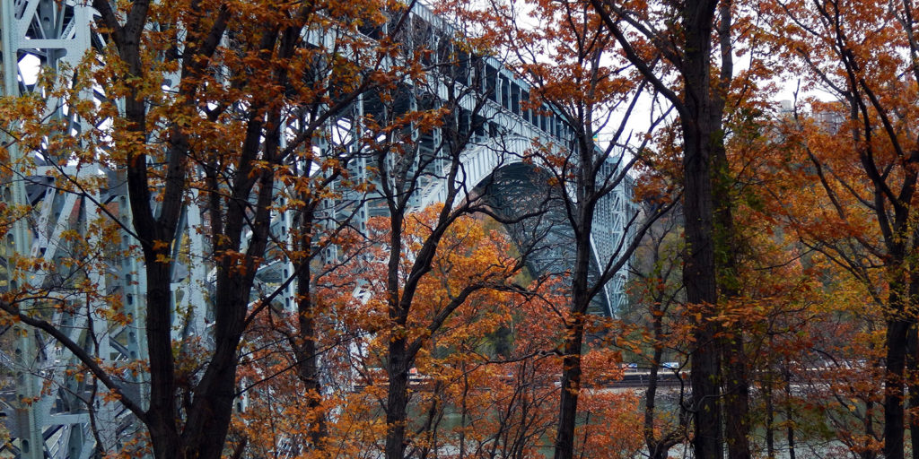 The Henry Hudson Bridge from Inwood Hill Park (Jacobcaplain/Dreamstime)