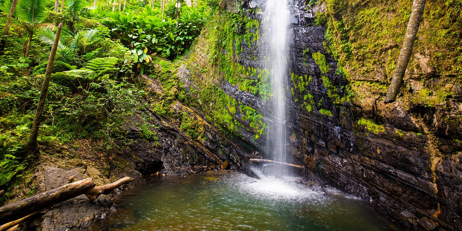 Juan Diego Falls at El Yunque in East Puerto Rico (Ivan Kokoulin/Dreamstime)