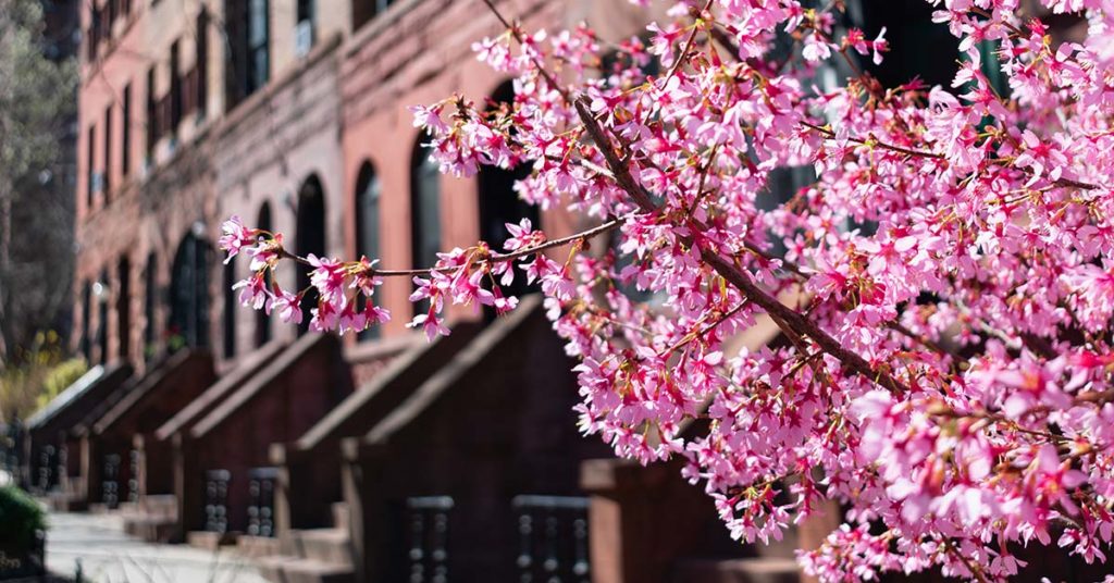 Things to do in NYC in May 2022 (James Andrews/Dreamstime)