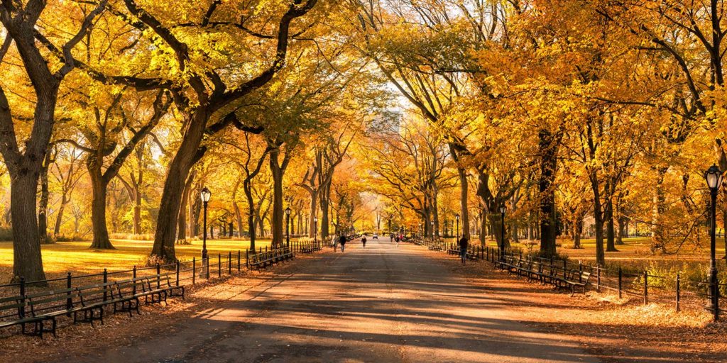 Things to do in NYC in October 2022 (Eyetronic/Adobe)