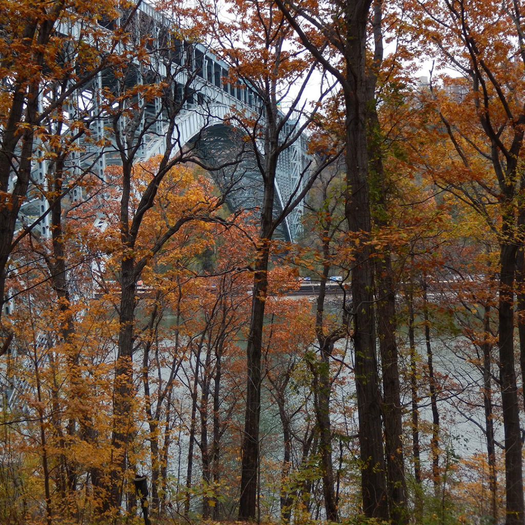 The Henry Hudson Bridge from Inwood Hill Park (Jacobcaplain/Dreamstime)