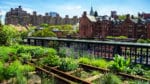 Chelsea NYC is New York's main art gallery district (Albachiaraa/Dreamstime)