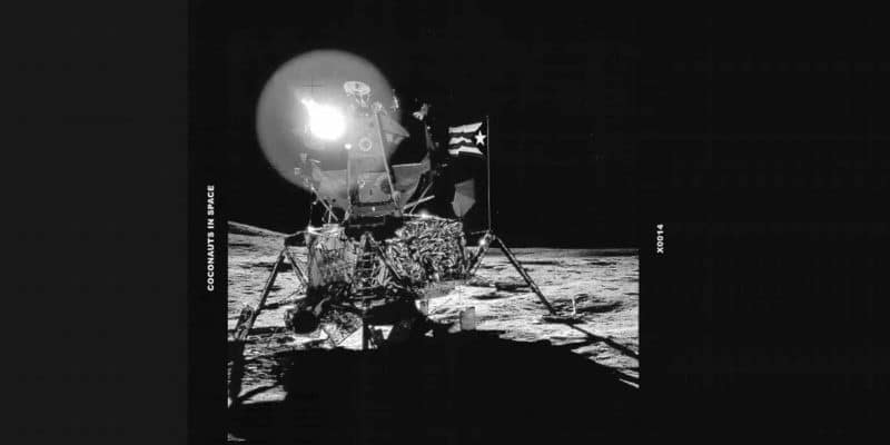 Adál Maldonado "Coconauts in Space" 1988 (Estate/Roberto Paradise)