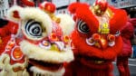 Chinese NYC (Julie Feinstein/Dreamstime)