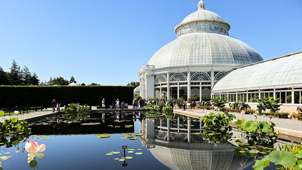 New York Botanical Garden Haupt Observatory (Guffinna Berg/Adobe)