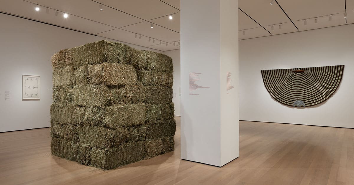 Вибрані спогади в MoMA знаходять голку в стозі сіна сучасного латиноамериканського мистецтва