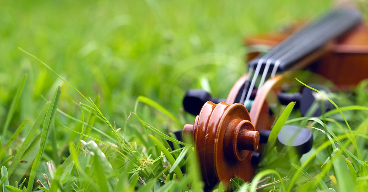 New York Philharmonic Concerts In the Parks 2024