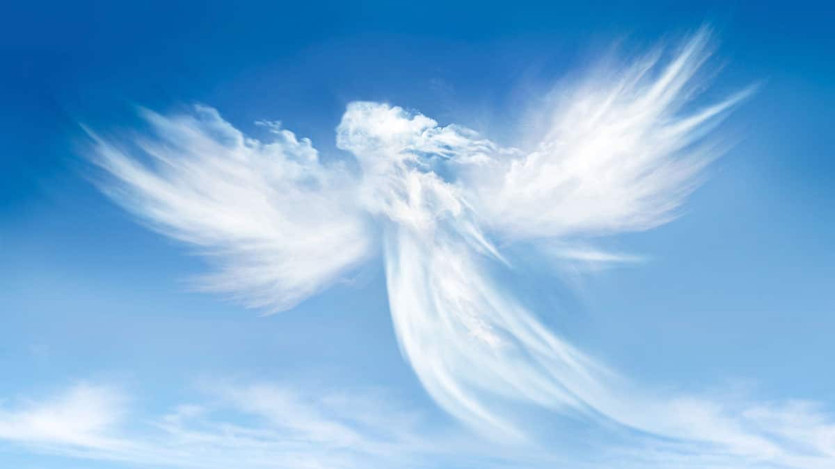 Our Lady of the Angels (Veremer/Dreamstime)