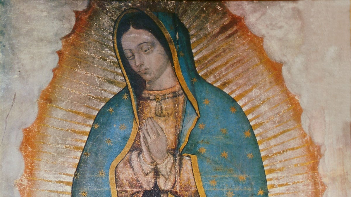 The Virgin of Guadalupe (Jesus Eloy Ramos Lara/Dreamstime)
