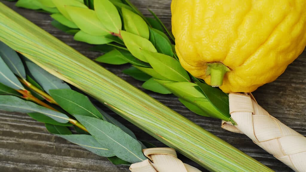 Sukkot, the Jewish fruit harvest festival (Carly Hennigan/Adobe)