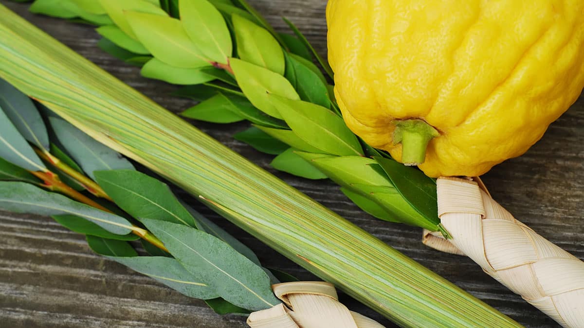 Sukkot, the Jewish fruit harvest festival (Carly Hennigan/Adobe)